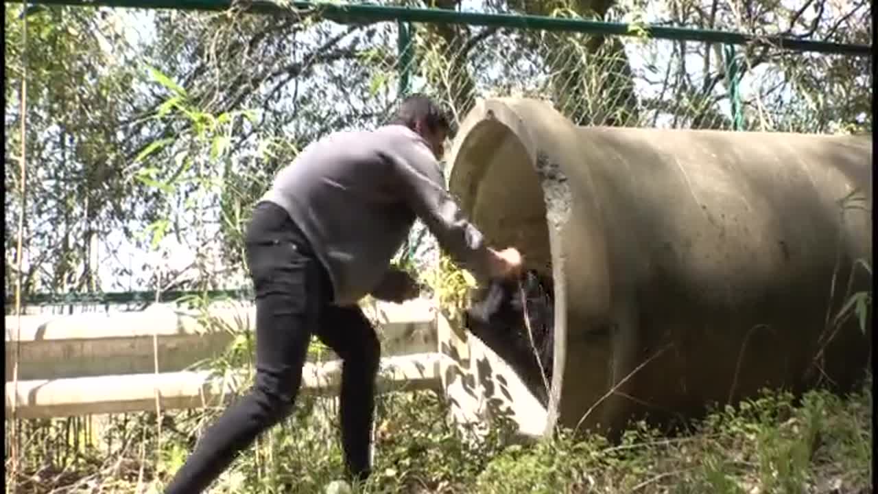 【●玉県立】自撮り露出中のTik●oker美しょうじょに凸してみた【個撮